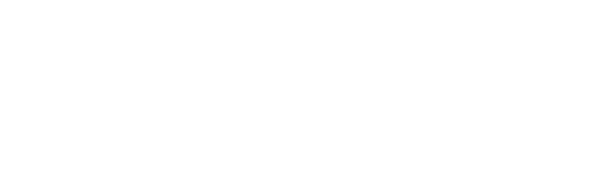 logo-blanco-amp